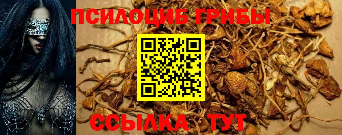 Галлюциногенные грибы прущие грибы  Вход с VPN  Горно-Алтайск 