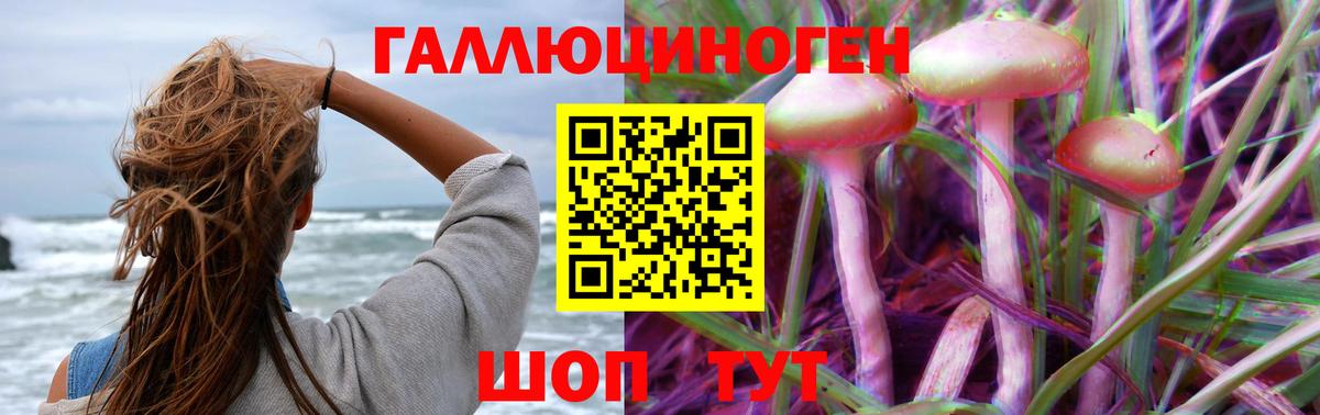 Галлюциногенные грибы мухоморы Горно-Алтайск